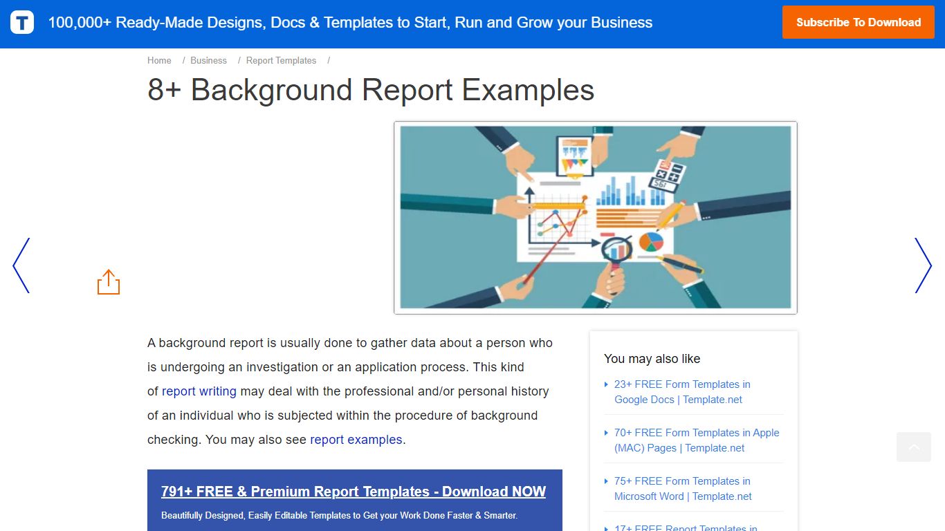 8+ Background Report Examples | Free & Premium Templates